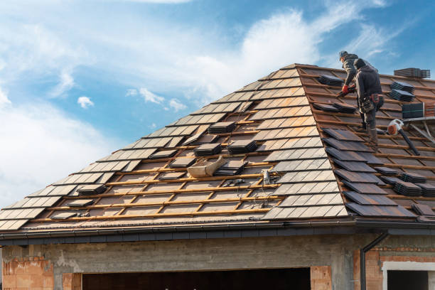 Best Skylight Installation and Repair  in Bryans Road, MD